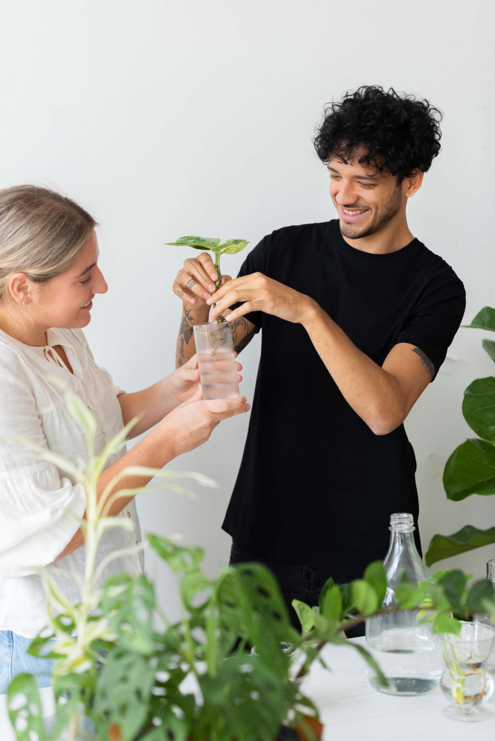 couple-water-propagating-their-houseplants3